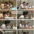 콩 심은 데 콩나고 밥 먹으면 밥심 난다.E02.250116.1080p.H264-F1RST