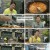 전현무계획2.E13.250117.1080p.H264-F1RST