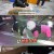 TV 동물농장.E1205.250119.720p-NEXT