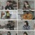 알토란.E524.250119.1080p.H264-F1RST