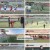 뭉쳐야 찬다 3.E64.250119.1080p.H264-F1RST