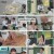 냉장고를 부탁해 since 2014.E05.250119.1080p.H264-F1RST