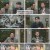 프리한19.E451.250120.1080p.H264-F1RST