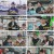 런닝맨.E737.250126.1080p.H264-F1RST
