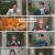 프리한19.E452.250127.1080p.H264-F1RST