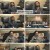 미운 우리 새끼.E428.250202.1080p.H264-F1RST
