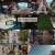 곽준빈의 세계 기사식당 3.E05.250201.720p-NEXT