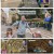 남의나라살아요선넘은패밀리.E70.250213.720p-F1RST