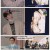 조선의 사랑꾼.E67.250217.720p-F1RST