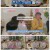 여권들고 등짝 스매싱.E24.250219.1080p-F1RST