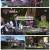 늦기 전에 어학연수 샬라샬라.E03.250219.1080p-F1RST