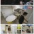 나는 SOLO 그 후, 사랑은 계속된다(나솔사계).E101.250220.1080p-F1RST