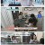 요즘 육아 금쪽같은 내 새끼.E228.250228.1080p-F1RST