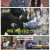 놀면 뭐하니?.E269.250301.1080p-F1RST