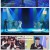 불후의 명곡.E695.250301.720p-F1RST