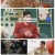 요즘 남자 라이프 - 신랑수업.E153.250305.1080p-F1RST
