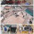 1박 2일 시즌4.E265.250309.720p-F1RST