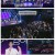 더 시즌즈 - 박보검의 칸타빌레.E01.250314.1080p-F1RST