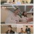 이혼보험: 직급 쟁탈전.E01.250320.1080p-F1RST