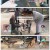 동물은 훌륭하다.E18.250324.1080p-F1RST