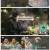 전지적 참견 시점.E340.250329.1080p-F1RST