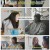 내 아이의 사생활.E15.250406.1080p-F1RST