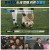 뽈룬티어.E02.250412.1080p-F1RST