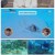 정글밥2 - 페루밥, 카리브밥.E08.250424.1080p-F1RST
