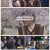 개그콘서트.E1119.250427.1080p-F1RST