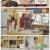 대결! 팽봉팽봉.E04.250510.1080p-F1RST