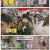 내 아이의 사생활.E20.250511.1080p-F1RST