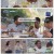정글밥2 - 페루밥, 카리브밥.E12.250522.1080p-F1RST