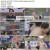 샅바전쟁 17대1.E01.250524.1080p.H264-F1RST