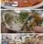 THE 맛있는 녀석들.E517.250530.1080p-F1RST