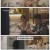 하트페어링.E12.250530.1080p-F1RST