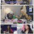 하우스 오브 걸스.E03.250606.1080p-F1RST