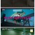 영화가 좋다.E960.250614.H264.720p
