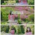 안목의 여왕 김남주.E05.250619.1080p-F1RST