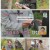조선의 사랑꾼.E84.250623.1080p-F1RST